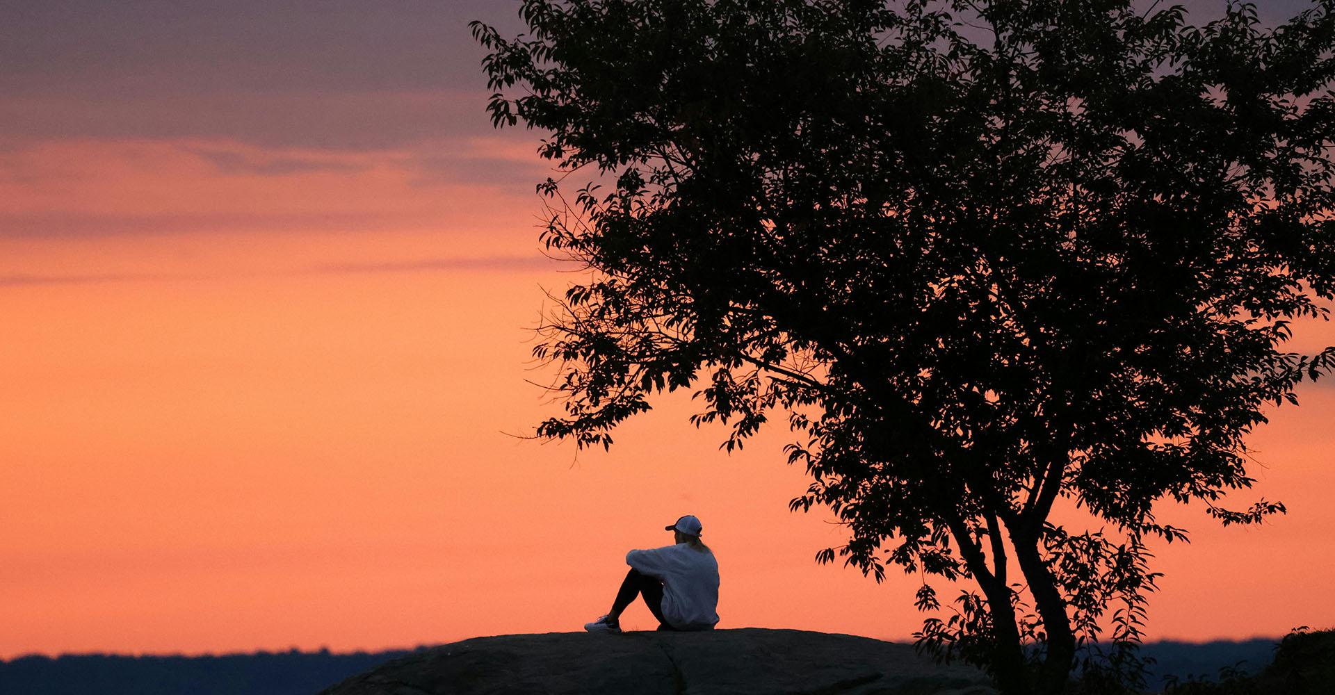 the law of polarity: two opposites, one spectrum